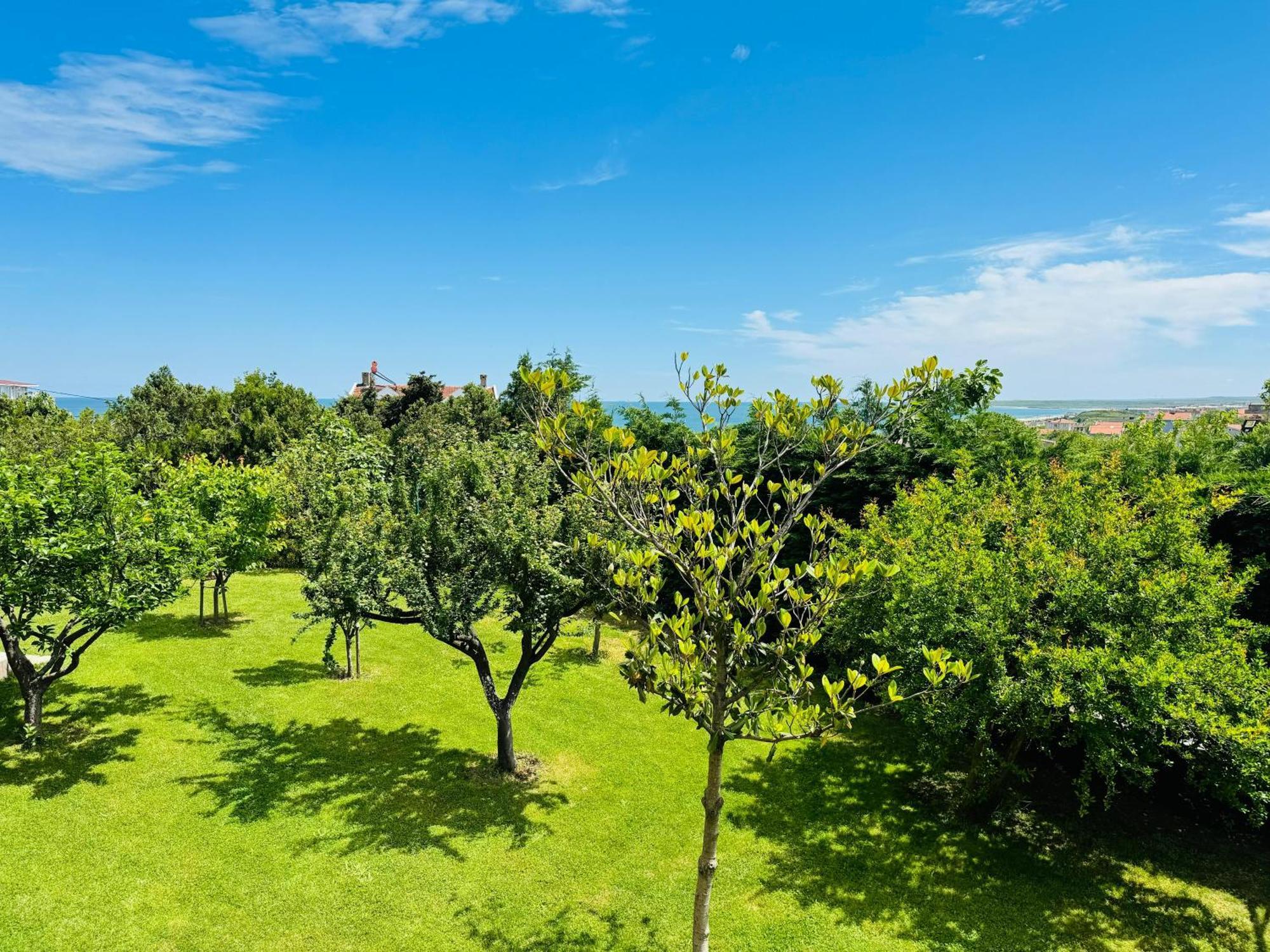 Istanbul Airport Treekos Suite Hotel Karaburun  외부 사진